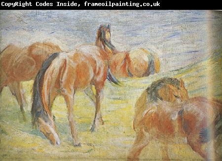 Franz Marc Graing Horses i (mk34)